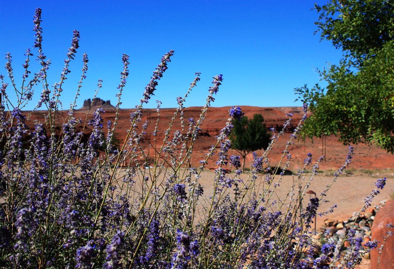 Hat Rock Inn Mexican Hat Eksteriør billede